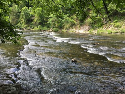 The Lifestyle Stream: The River tells many tales
